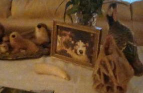 Scorrabrae Orphir Mainland Orkney South Shore Retreat - Photo 43