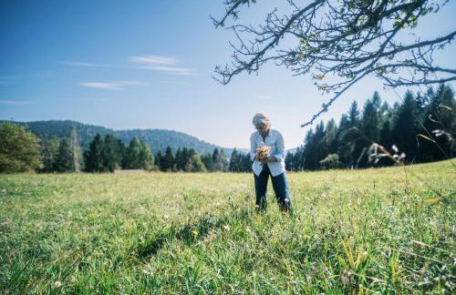 Chalet Maso Pino - Foto 24