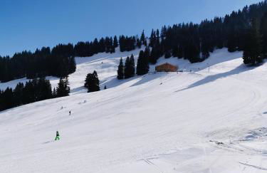 Allgäuer Ausblick - Foto 68