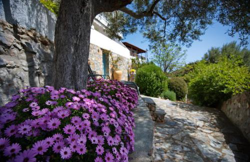 Olive Tree House - Foto 24