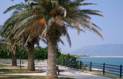 Villa Nunziatella Badia - Photo 69