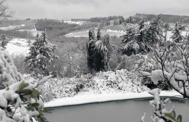 Chianti Holidays, Il Poggetto da Alfina - Foto 53