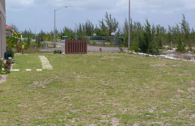 Taste of Paradise - Foto 77