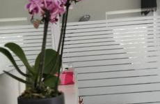 ruhige Sout. Whg. Feldrandnähe - Foto 13