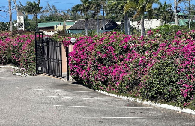 Remarkable 1-bed Apartment in Montego Bay - Photo 25