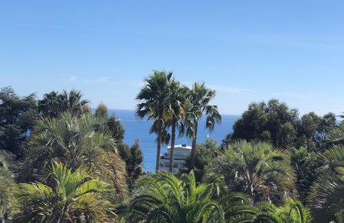 APPARTEMENT 2 chambres vue mer panoramique, proche Croisette Cannes - Foto 14