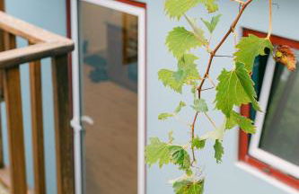 Casa Ver o Mar - Photo 45