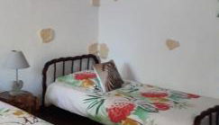 Le petit gîte de Beauval - Photo 3