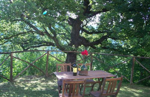 Agriturismo Santa Caterina - Foto 30