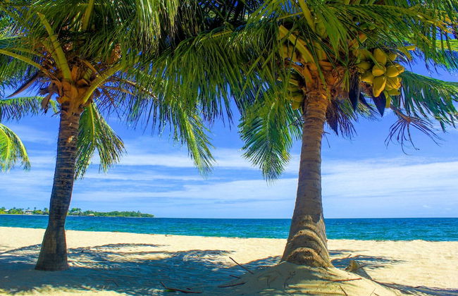 Julia´s Cabanas - Foto 1