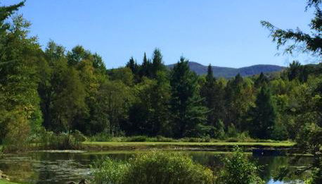 Pond Hill Place - Foto 2, Garden view