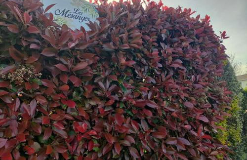 Chalet spacieux à 8 km de la mer - Foto 17