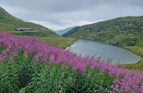 A cjase di Diego - Foto 14