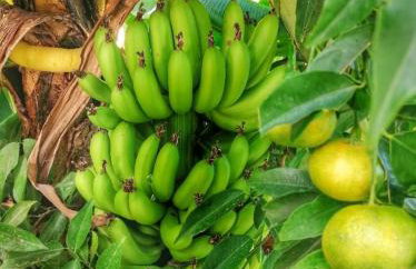 Villa Neli I - Foto 10