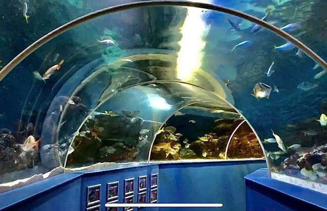 Dog Friendly Caravan on the Northumberian Coast - Photo 17