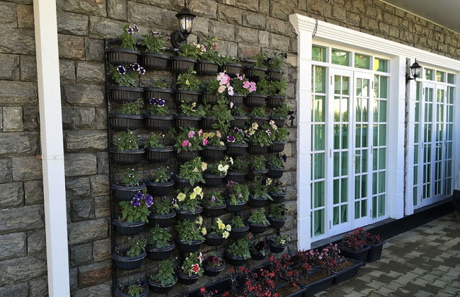 Dorchester - Foto 21