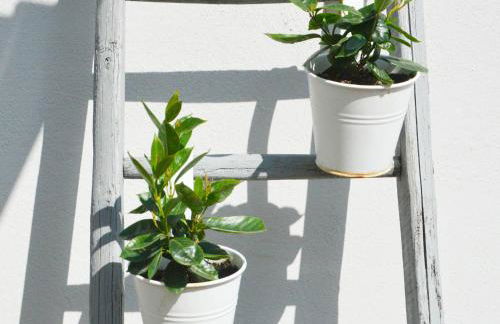 Petite Maison - Foto 22