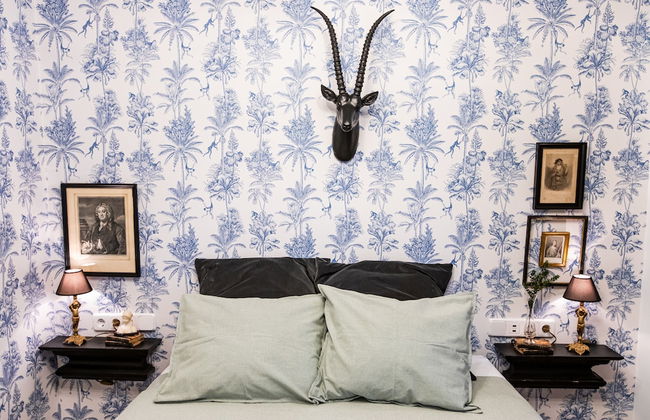 HN Gaviota - Photo 11