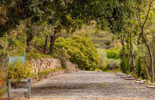 Villa Afrodite - Foto 16