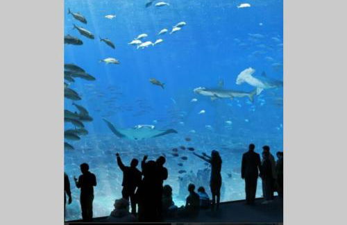 Fl'Heurt de Sable Appartement au bord de mer - Foto 39