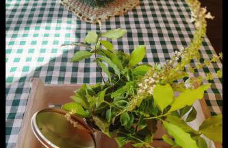 Casa Amarela Ecoloft Brasil 88 - Foto 52