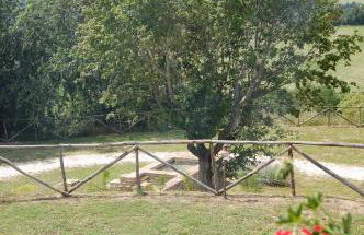 Agriturismo SPA Serpanera - Photo 81