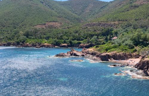 Cap Neree Petit coin de paradis pieds dans l eau - Foto 31