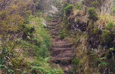 Ape Esquerdo - Foto 29