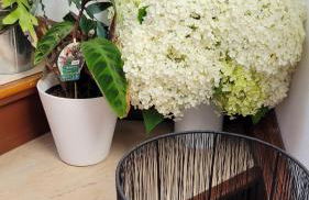 Biggy's Apartment - Foto 38