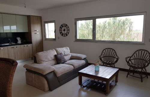 Playa de Consolaçao - Foto 14