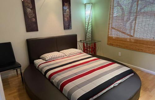 Luxury 1900 SQ FT House Huge 46 FT Pool & Hot SPA - Foto 15