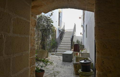 Rachel's House - Foto 71