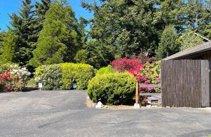 The Redwood Guesthouse at the Floras Lake Getaway - Foto 35