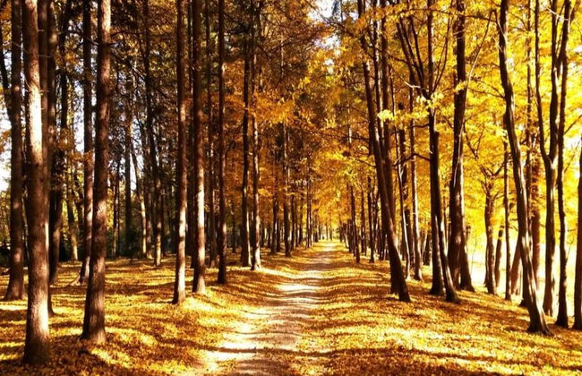 Holiday Home in Dobczyce Near Ski Lift - Foto 23