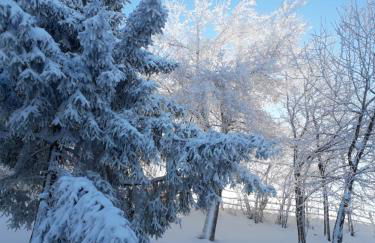 Cà Dalilà relax natura e familia - Photo 37