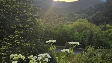 Perched Nest in Cevennes Mountains, relaxing place - Photo 2