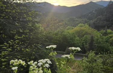 Perched Nest in Cevennes Mountains, relaxing place - Photo 2