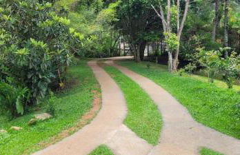 Sítio com Casa de Madeira com 2 quartos 100m2 px Centro de Salesópolis - Foto 50