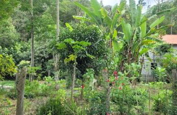 Sítio com Casa de Madeira com 2 quartos 100m2 px Centro de Salesópolis - Foto 22