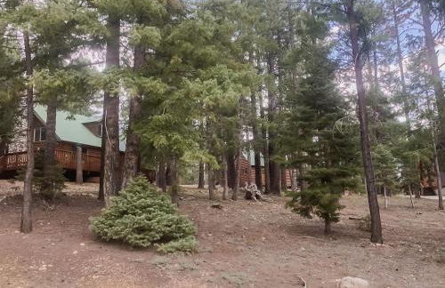 Cabin in the National Forest near Brian Head, Bryce Canyon and Zion - Foto 68