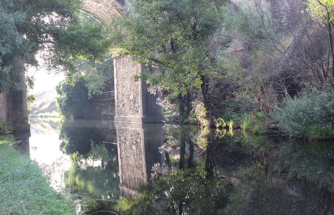 La Grulla Dorada - Foto 65