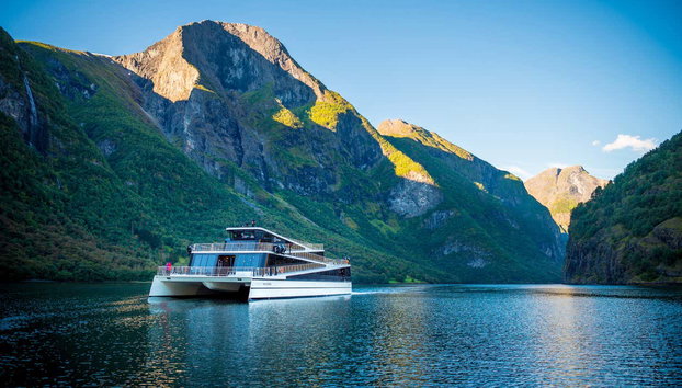 Norwegian Fjords: Flåm Train + Nærøy Boat Ride - Foto 5, Marvel at the scenery