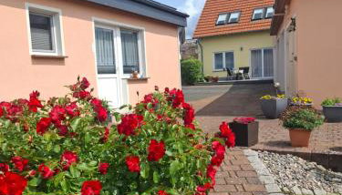 Achterwasser Blick - Foto 2