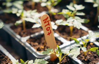 Milea Agritourism - Foto 91