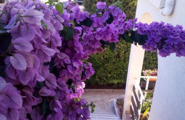 Apartman Milutin - Foto 23