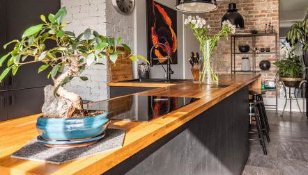 House of Art - Foto 2