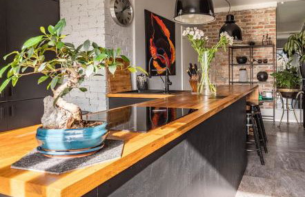 House of Art - Foto 2