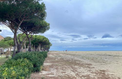 Idyllique ! Terrasse vue jardin et montagne, parking, local à vélos, à 2 pas de la plage et piscine de mai à septembre ! - Foto 43