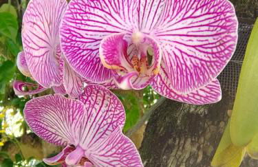 Chalé Serrano - Foto 21