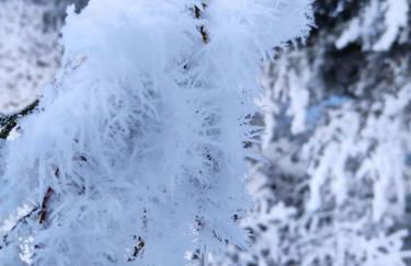 Gîte du Tilleul - Foto 41